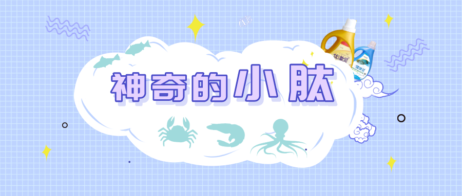 小肽