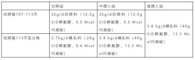 試驗
