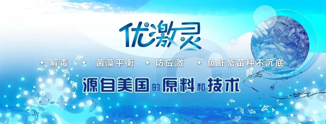 優激靈