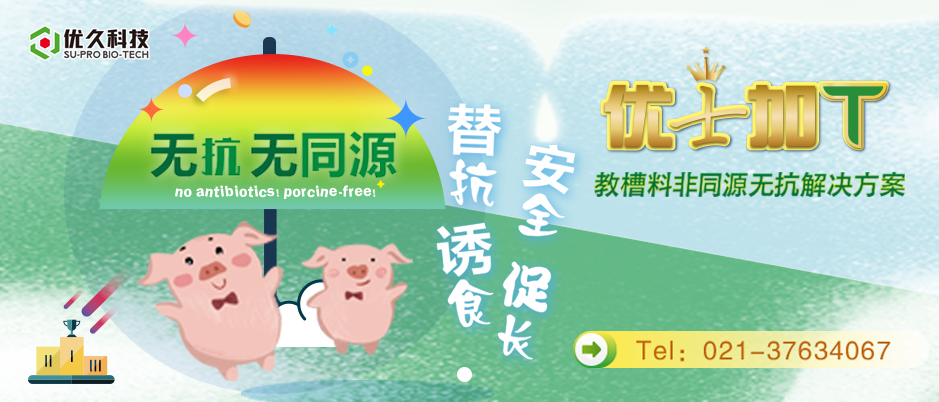 廣告