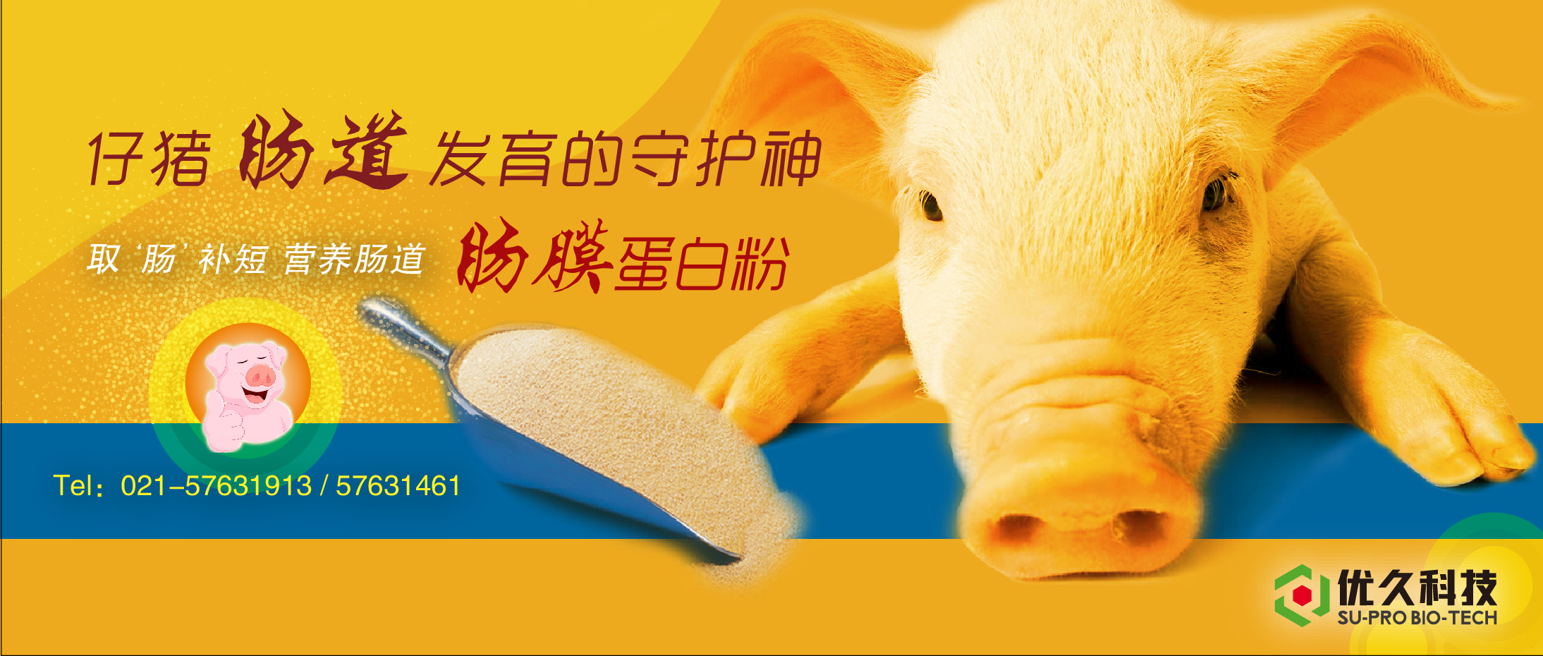 絲蘭寶