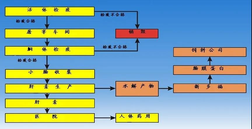 腸膜蛋白