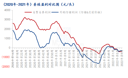 圖表