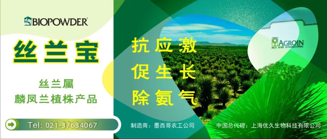絲蘭寶