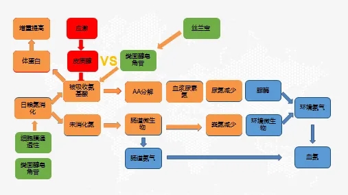 絲蘭寶