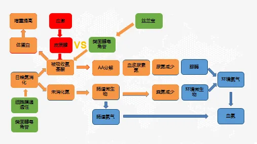 圖片1.png